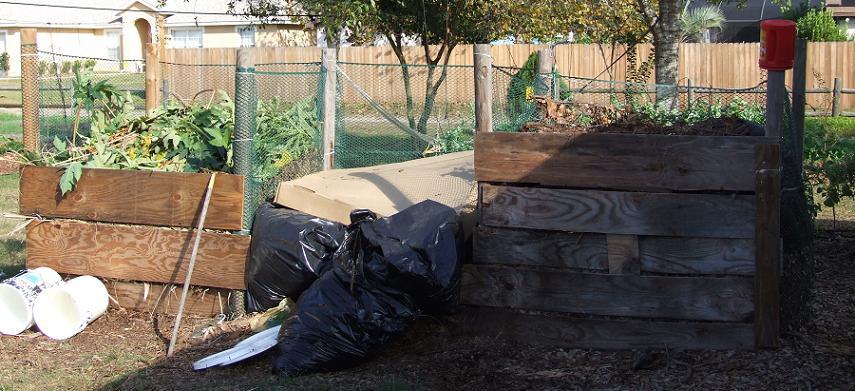 Our compost bins